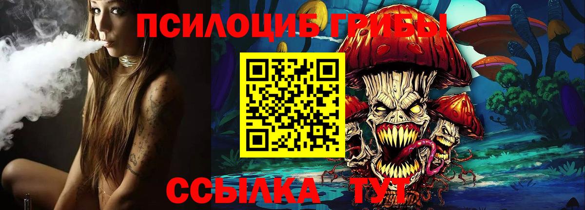 Дзержинск  Галлюциногенные грибы прущие грибы  Вход с VPN 