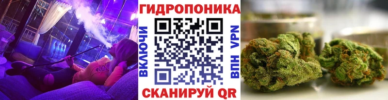 Конопля Bruce Banner  Дзержинск 